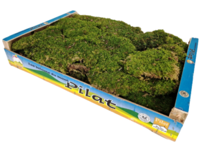 Dried Flat Moss App 1.5kg Best Quality (French)-0