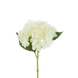 Hydrangea Stem White 58cm-0