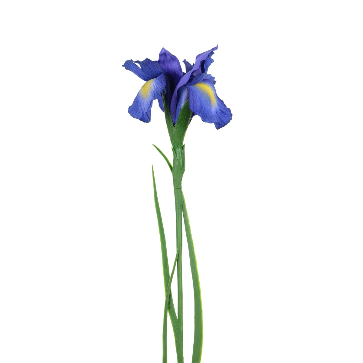 Iris Stem 69cm Blue-0