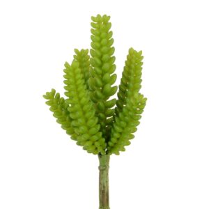 Succulent Pick 30cm Green-0