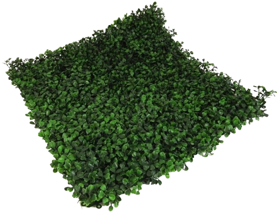 Boxwood Mat 50 x 50cm Weather Resistant-0