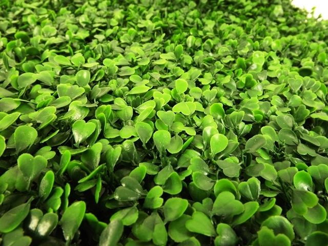Boxwood Mat 50 x 50cm Weather Resistant-17102