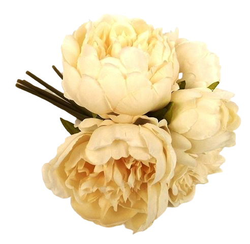 28cm Light Peach Peony Posy-0