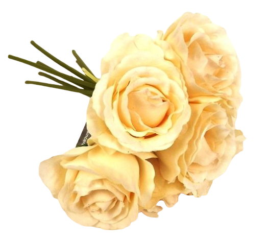 26cm Peach Open Rose Bouquet-0