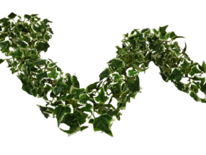 180cm Variegated Mini Ivy Leaf Chain Link Garland-0