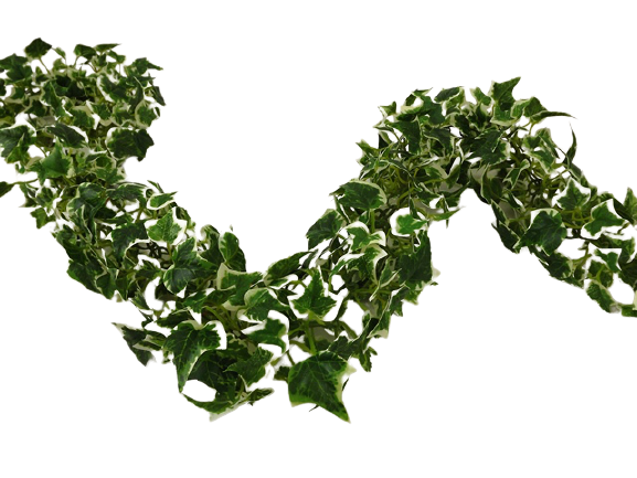 180cm Variegated Mini Ivy Leaf Chain Link Garland-0