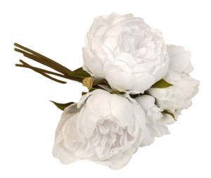 28cm White Peony Posy x 5 Heads-0