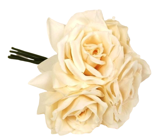 27cm Open Rose x 5 Heads Posy Light Peach-0