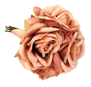27cm Open Rose x 5 Heads Posy Bisque-0