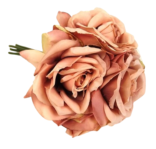 27cm Open Rose x 5 Heads Posy Bisque-0