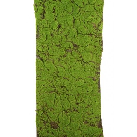 Moss Mat Roll 40 x 150cm-17622