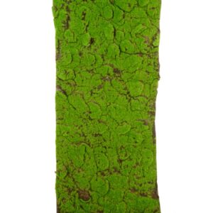 Moss Mat Roll 40 x 150cm-0