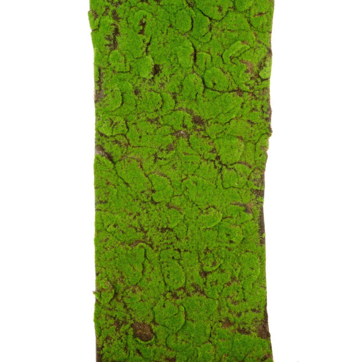Moss Mat Roll 40 x 150cm-0