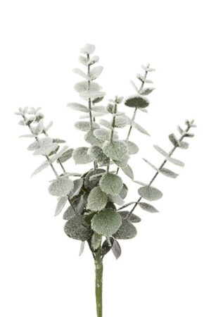 Snowy Spiral Eucalyptus Pick 30cm-0