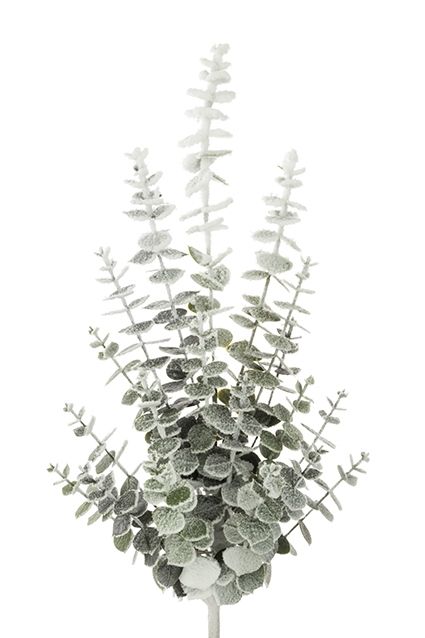 Snowy Spiral Eucalyptus Spray 70cm-0