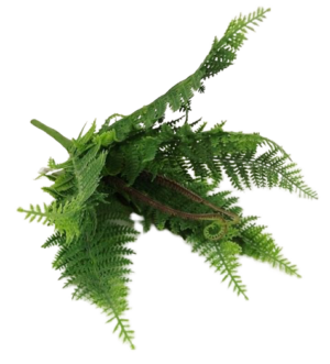 Plastic Boston Fern Bush H - 40cm-0