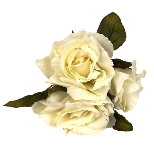 24cm Open Rose Posy x 3 Heads Cream-0
