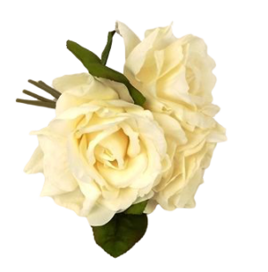 24cm Light Peach Open Rose Posy-0