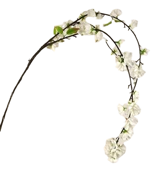 Large Cherry Blossom Spray White 95cm-19700