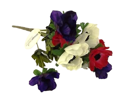 Anemone Bush Purple/Red/White-0