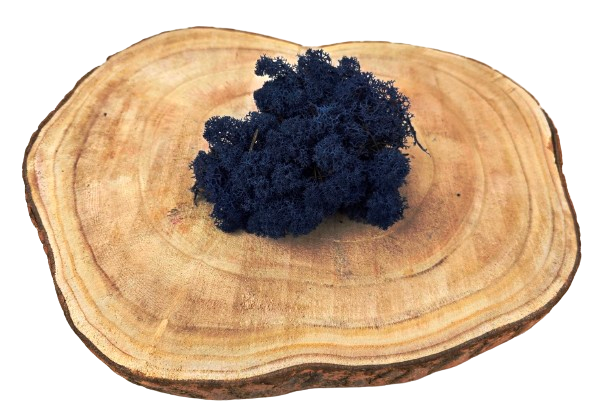 Reindeer Moss (Icelandic Moss) Classic Blue