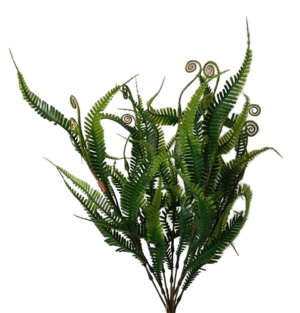48cm Fern Bush-0