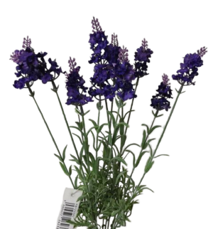 44cm Purple Lavender Bouquet-0