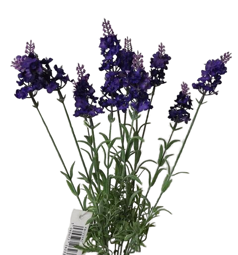 44cm Purple Lavender Bouquet-0