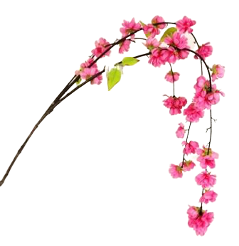 Large Cherry Blossom Spray 95cm Dark Pink-0