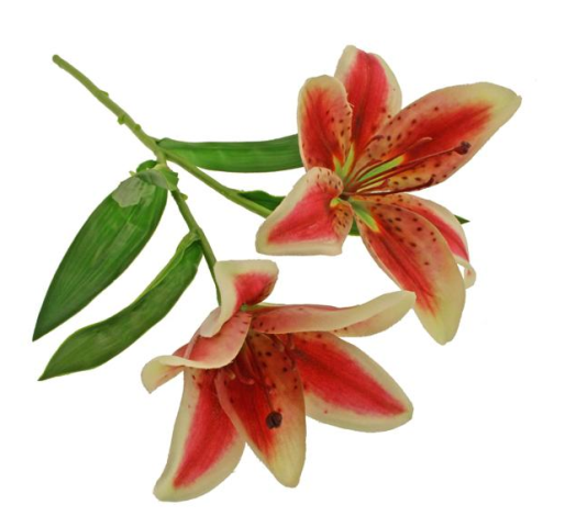 46cm Tiger Lily Spray Burgundy-0
