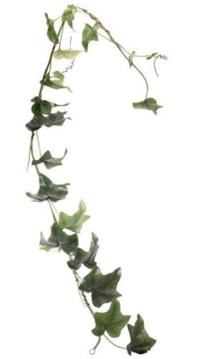 6ft English Ivy Garland x 24 lvs-0