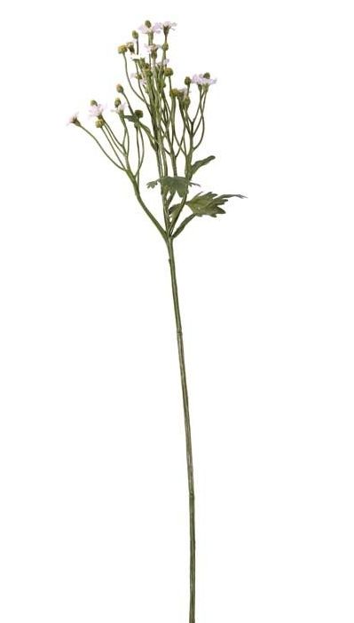 64cm Mini Daisy-0