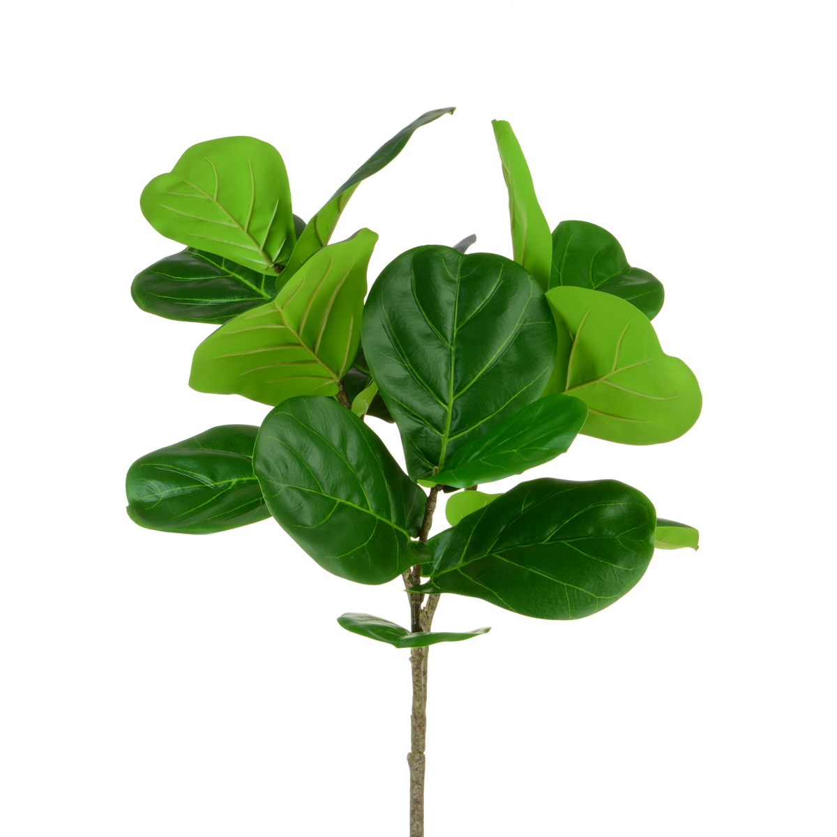 Fiddle Leaf Stem 106cm-0