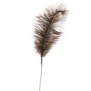 Feather Quill 76cm Mink-0