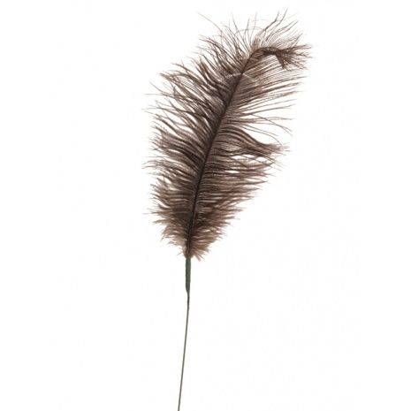 Feather Quill 76cm Mink-0