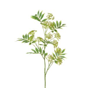 Anethum Spray 117cm Green-0