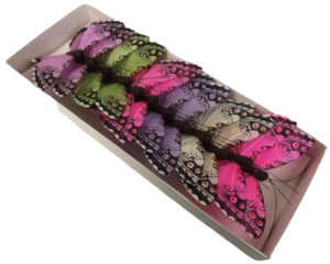 10cm Jewel Tone Feather Butterflies Assorted x 12pcs-0
