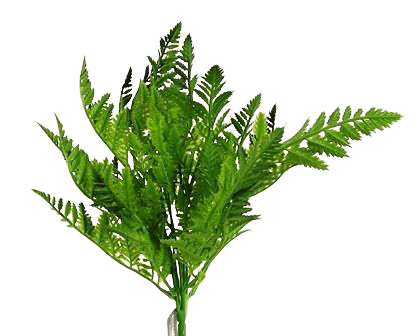 42cm Fern Bush-0