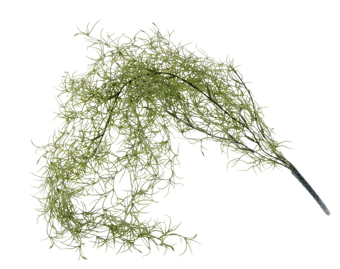 Tillandsia Green 85cm-0