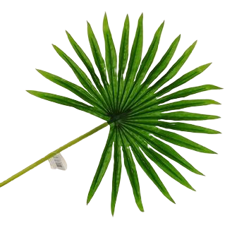 Real Touch Fan Palm Leaf Green 50cm-0