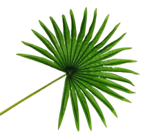Real Touch Fan Palm Leaf Green 82cm-0