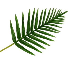 Real Touch Fern Palm Leaf Green 65cm-0
