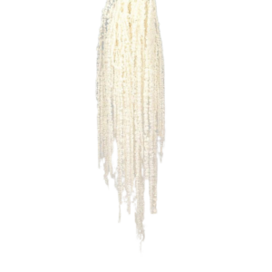 Preserved Amaranthus Caudatus - White-0