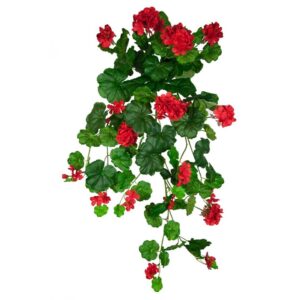 Geranium Hanging Bush 80cm Red-0