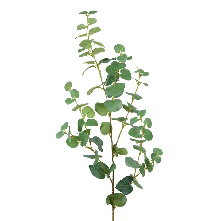 Eucalyptus Spray-102cm Green-0