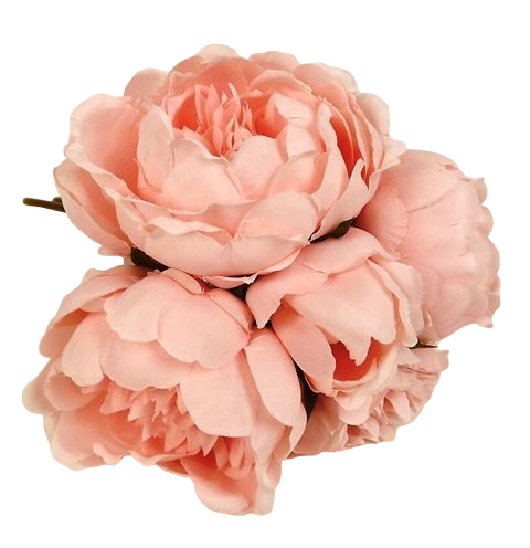 28cm Light Coral Peony Posy-0