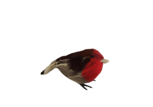 Fat Robins x 6pcs App 12cm-0
