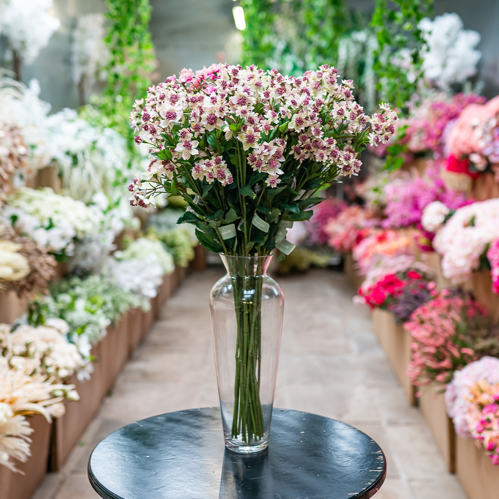 Astrantia Spray - 77cm Pick/Cream-24890