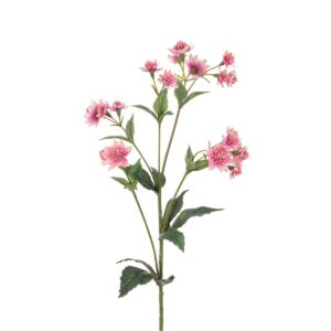 Astrantia Spray - 77cm Two Tone Pink-0