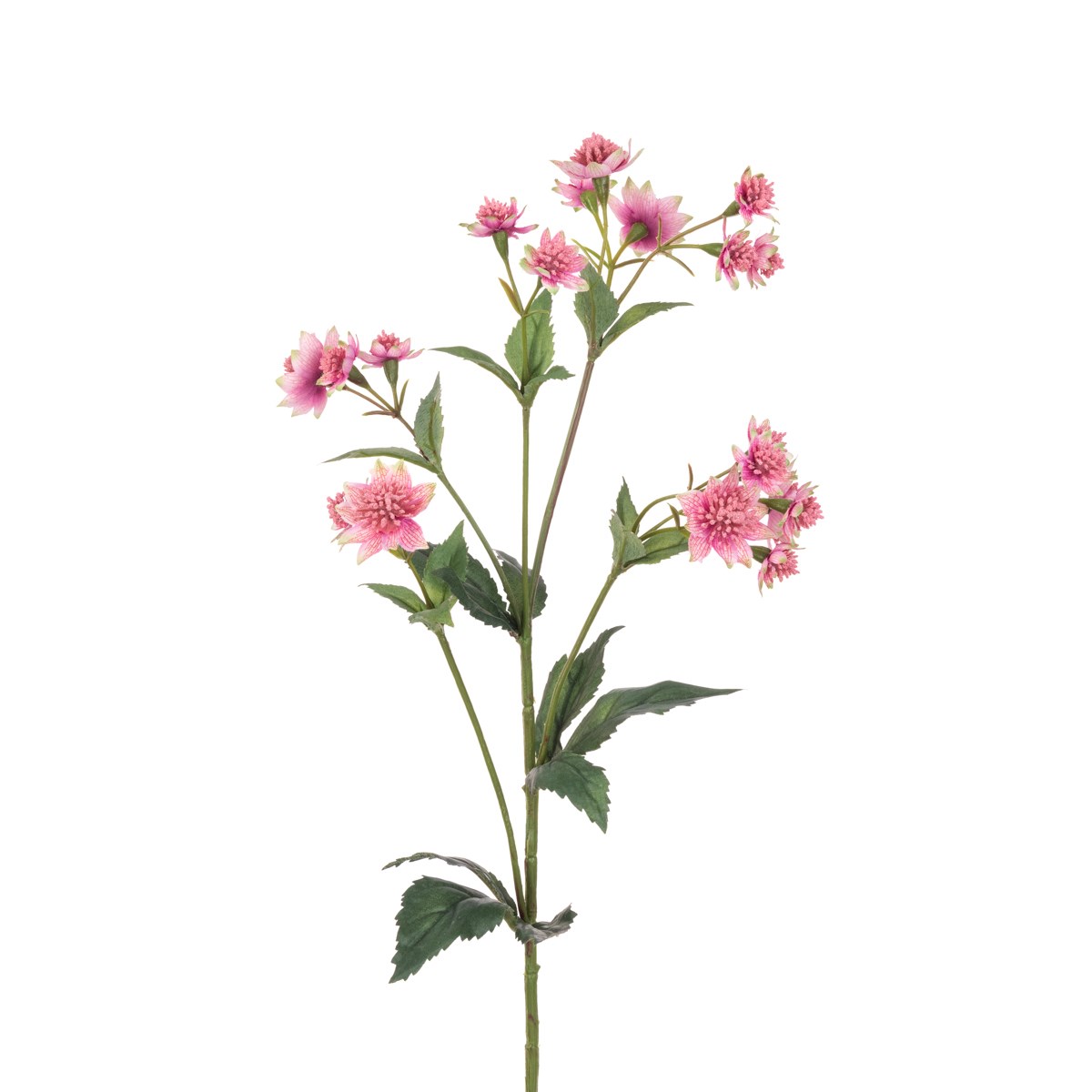 Astrantia Spray - 77cm Two Tone Pink-0